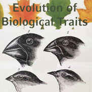 evolution bio traits 180x180